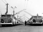 Ikarus 60T 1952 года